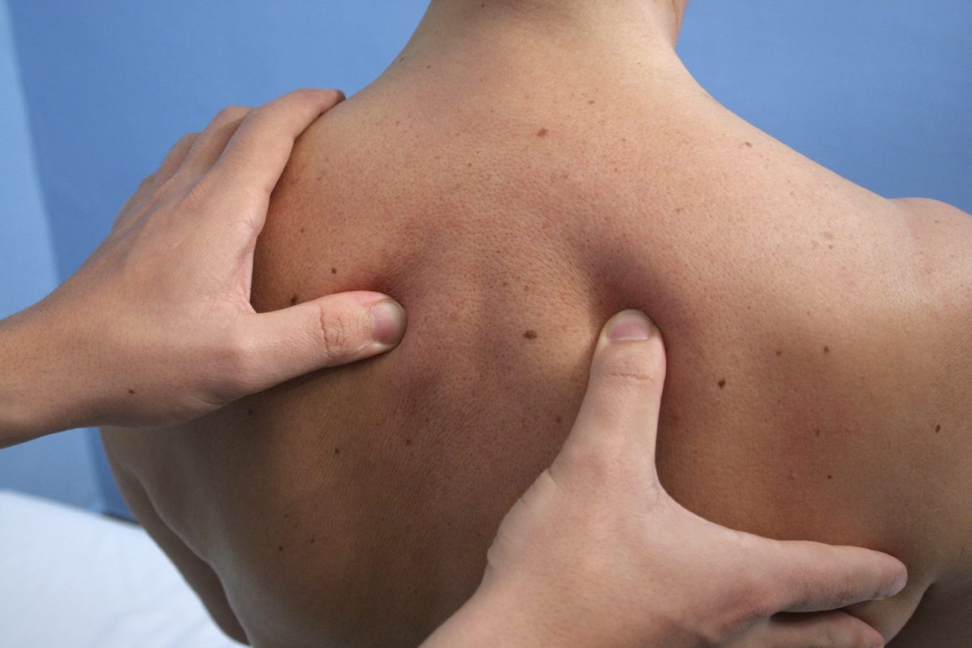 Palpation des muscles paravertébraux Palpation des muscles paravertébraux